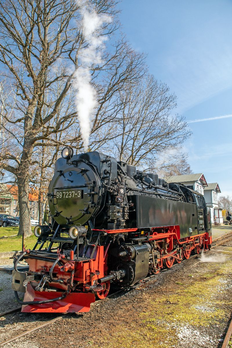 Die Selketalbahn in Hasselfelde