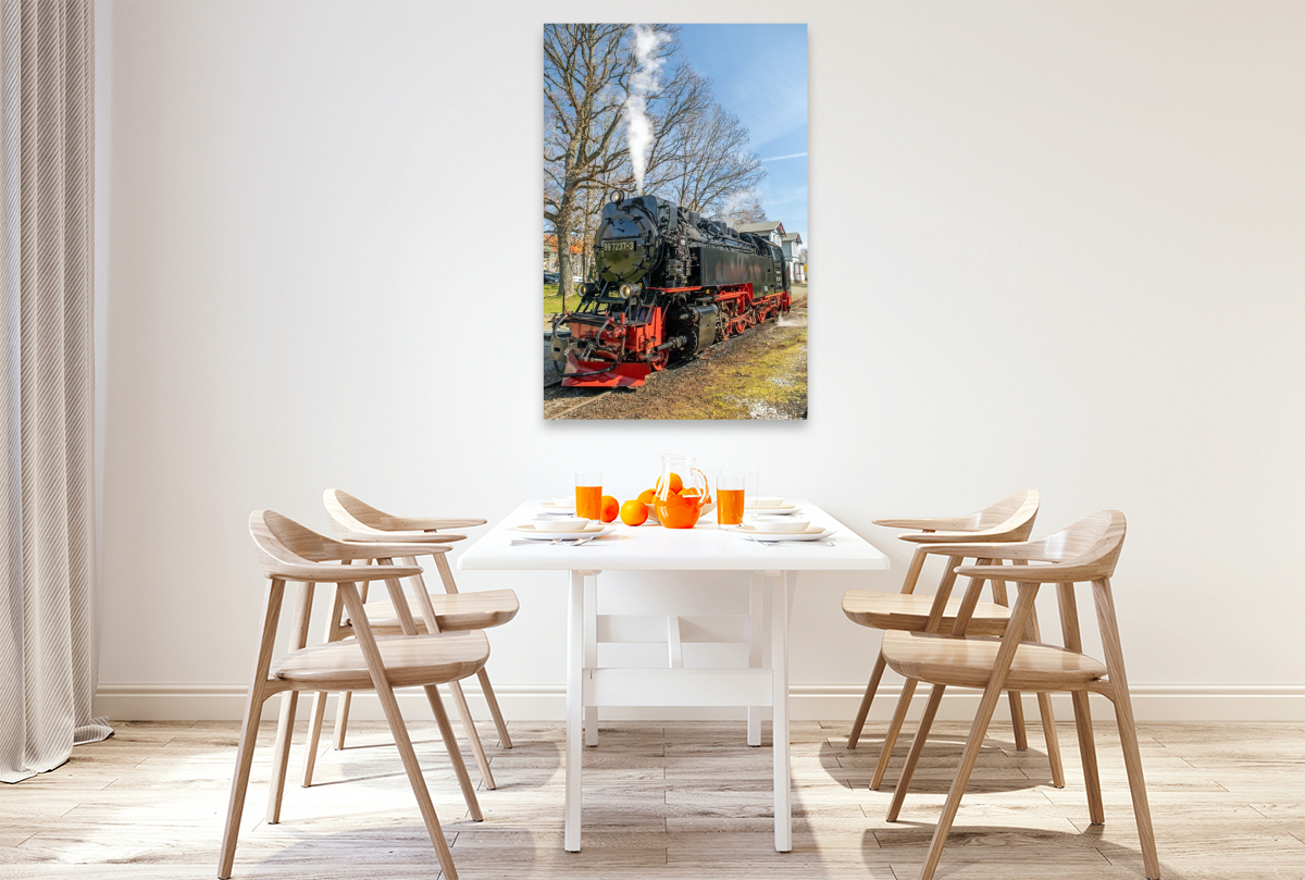Die Selketalbahn in Hasselfelde