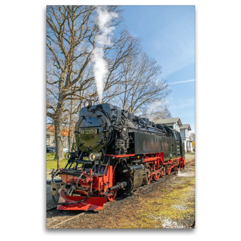 Die Selketalbahn in Hasselfelde
