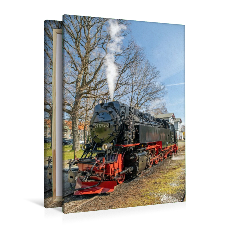 Die Selketalbahn in Hasselfelde