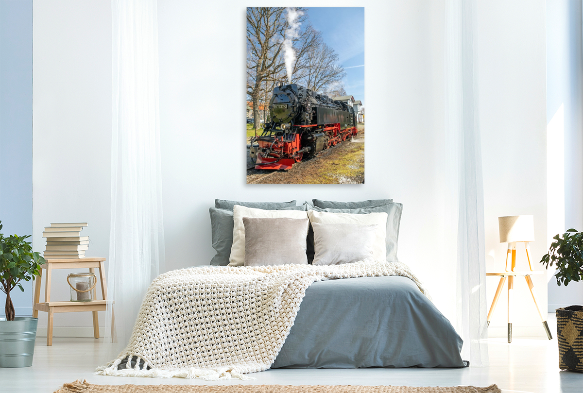 Die Selketalbahn in Hasselfelde