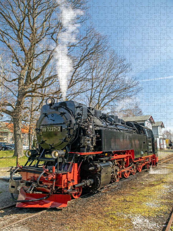 Die Selketalbahn in Hasselfelde