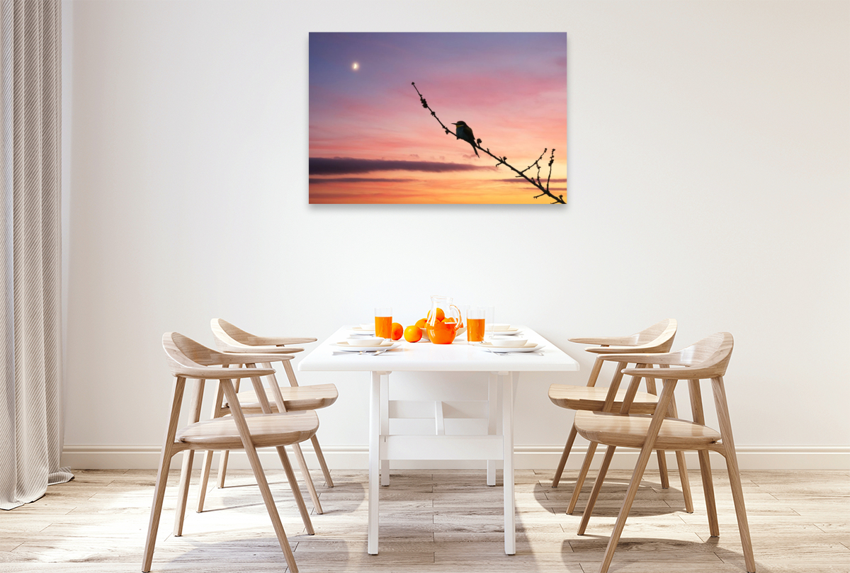 Bienenfresser im Sonnenuntergang