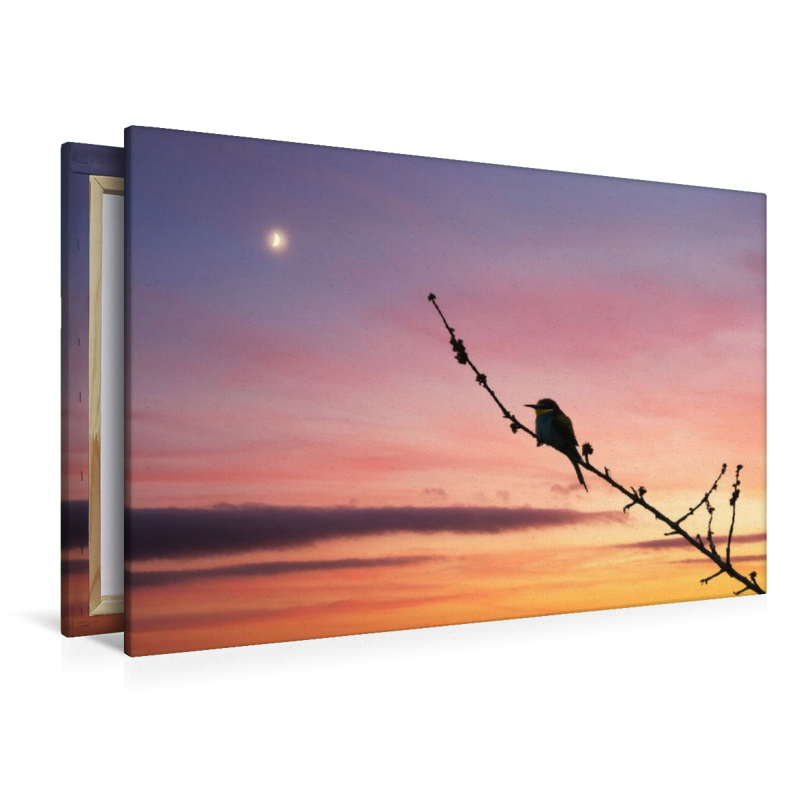 Bienenfresser im Sonnenuntergang