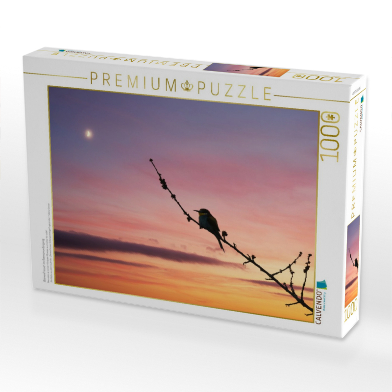 Bienenfresser im Sonnenuntergang