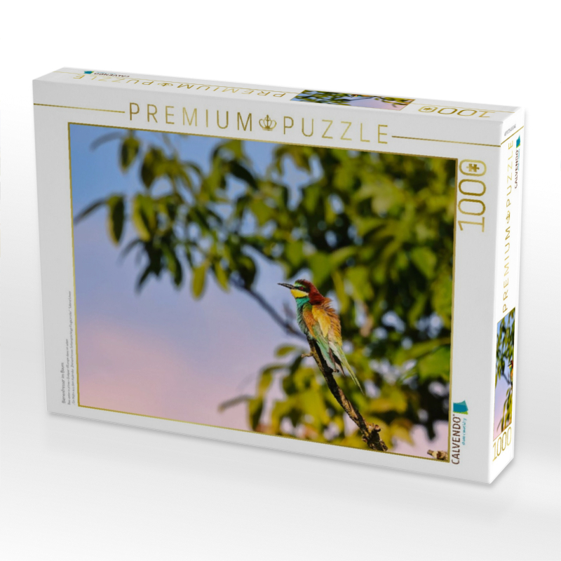 Bienenfresser im Baum