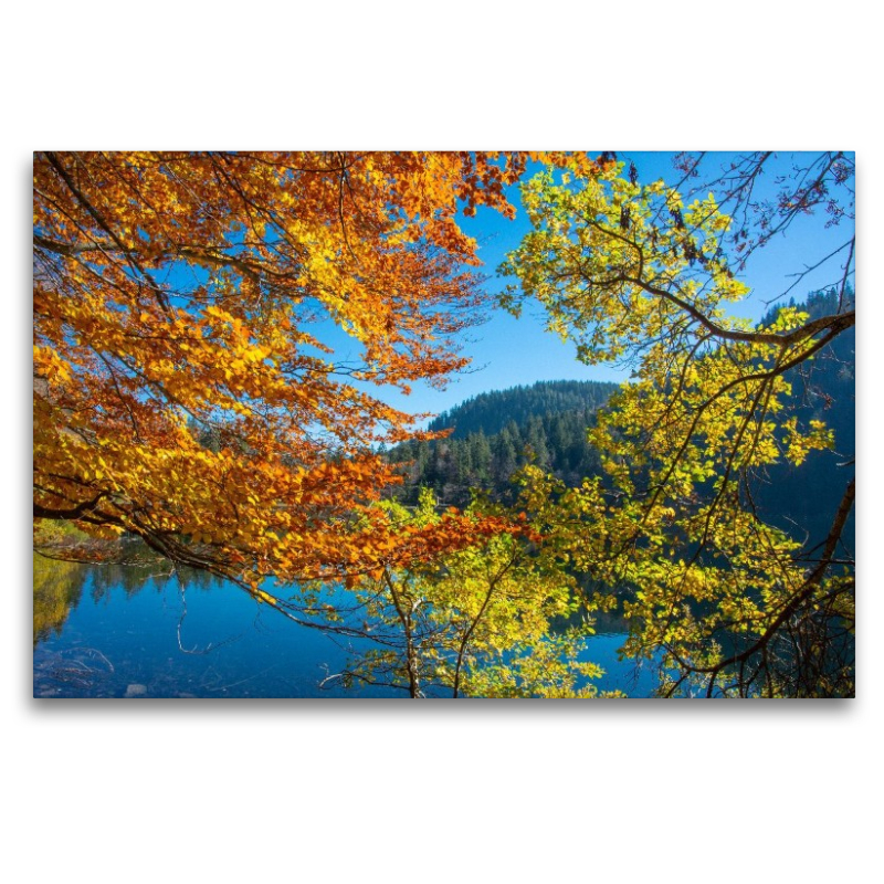 Herbstzauber im Schwarzwald