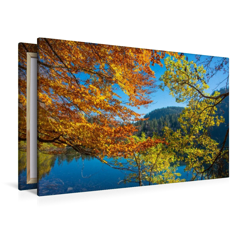 Herbstzauber im Schwarzwald