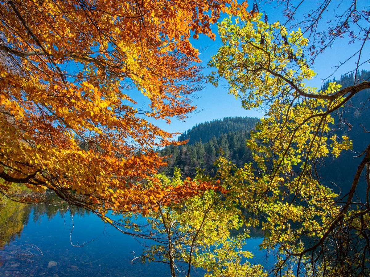 Herbstzauber im Schwarzwald