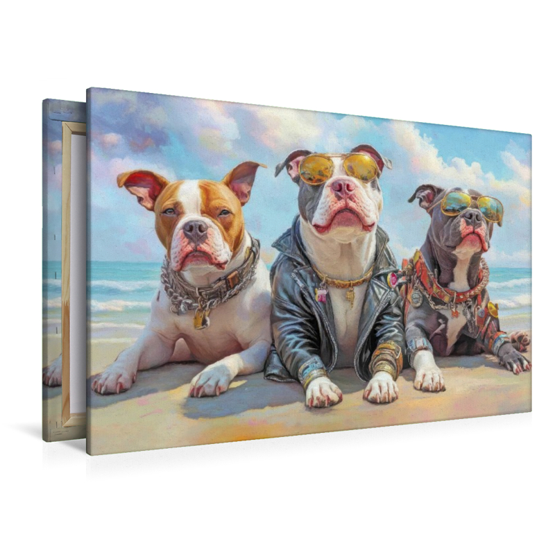 Pitbull Gangsterhunde