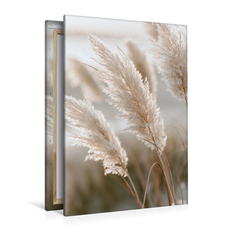 Zarte Natur in stiller Eleganz