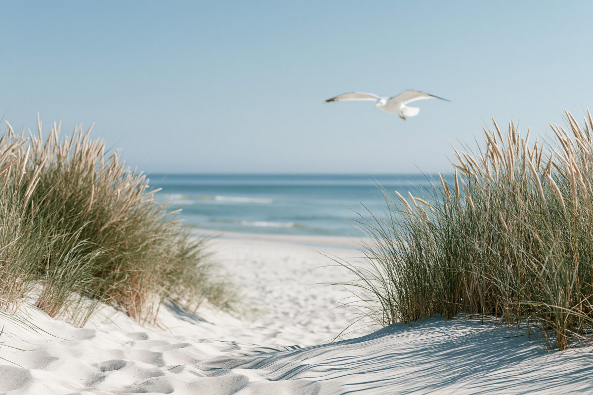 Der schönste Weg führt ans Meer