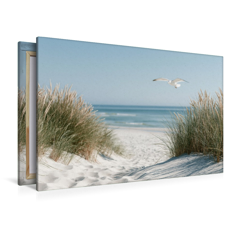 Der schönste Weg führt ans Meer