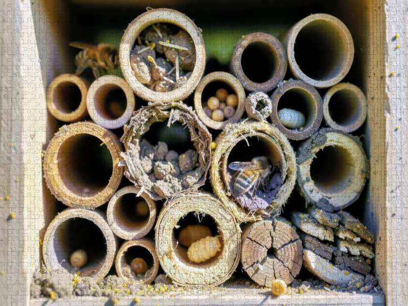 Naturschutz beginnt vor der Haustür.