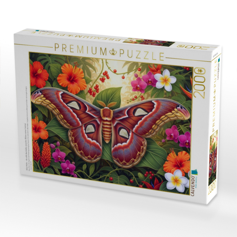 Atlas Motte - der edle Nachfalter zwischen Blüten seiner Heimat