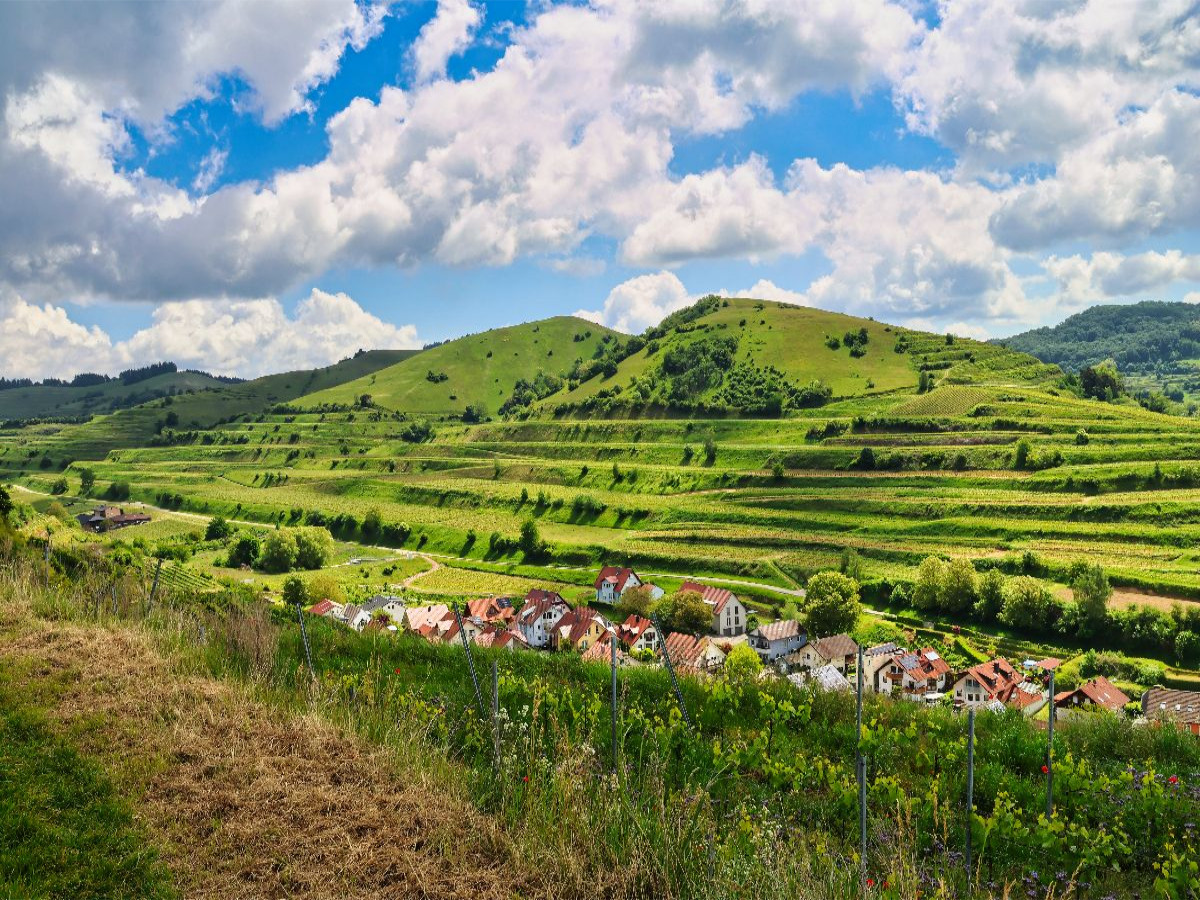Oberbergen mit Badberg