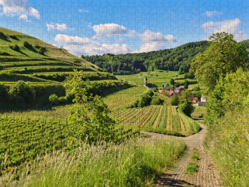 Alt-Vogtsburg