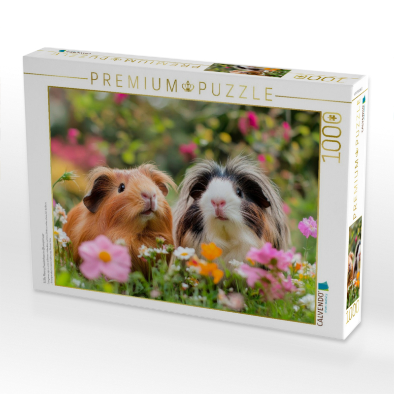 Süße Meerschweinchen im Blumenmeer