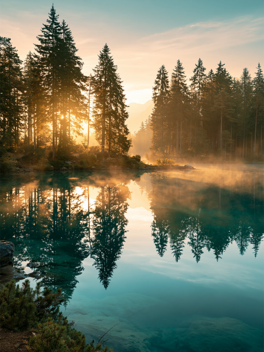 Alpensee, Deutschland - Morgenstimmung