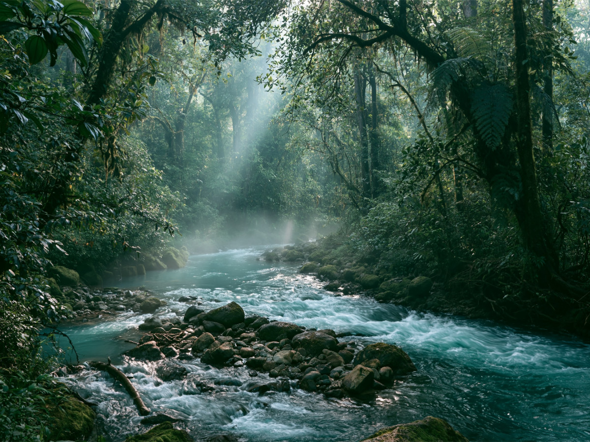 Costa Rica Regenwald – Mystischer Fluss