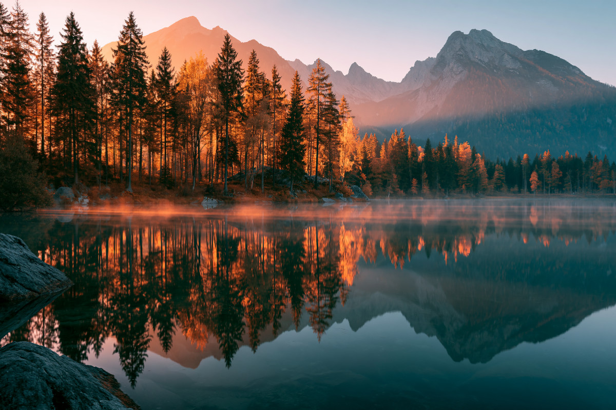 Goldene Wälder treffen auf türkisfarbenes Wasser