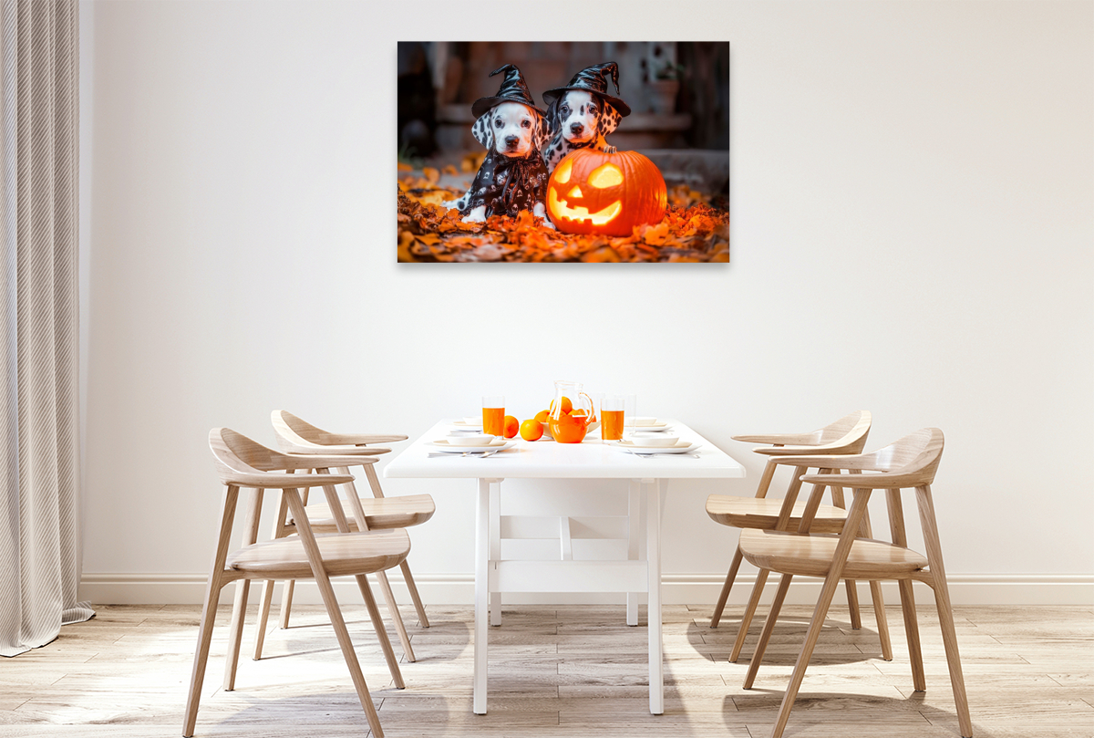 Magische Halloween Nacht mit Dalmatinern