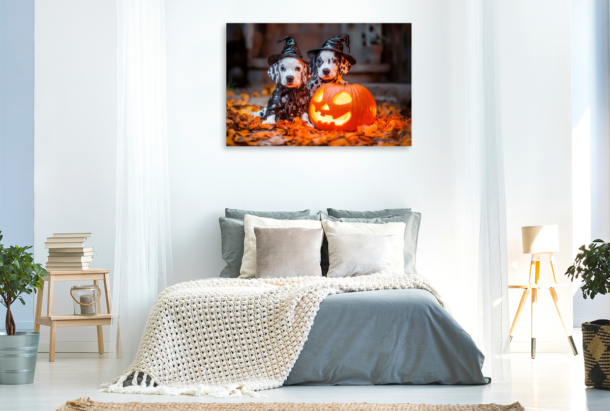 Magische Halloween Nacht mit Dalmatinern