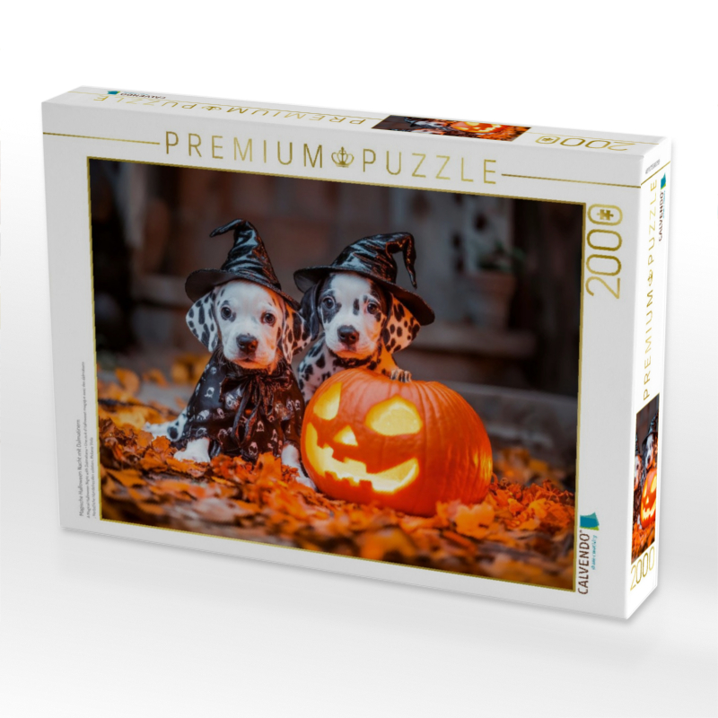 Magische Halloween Nacht mit Dalmatinern