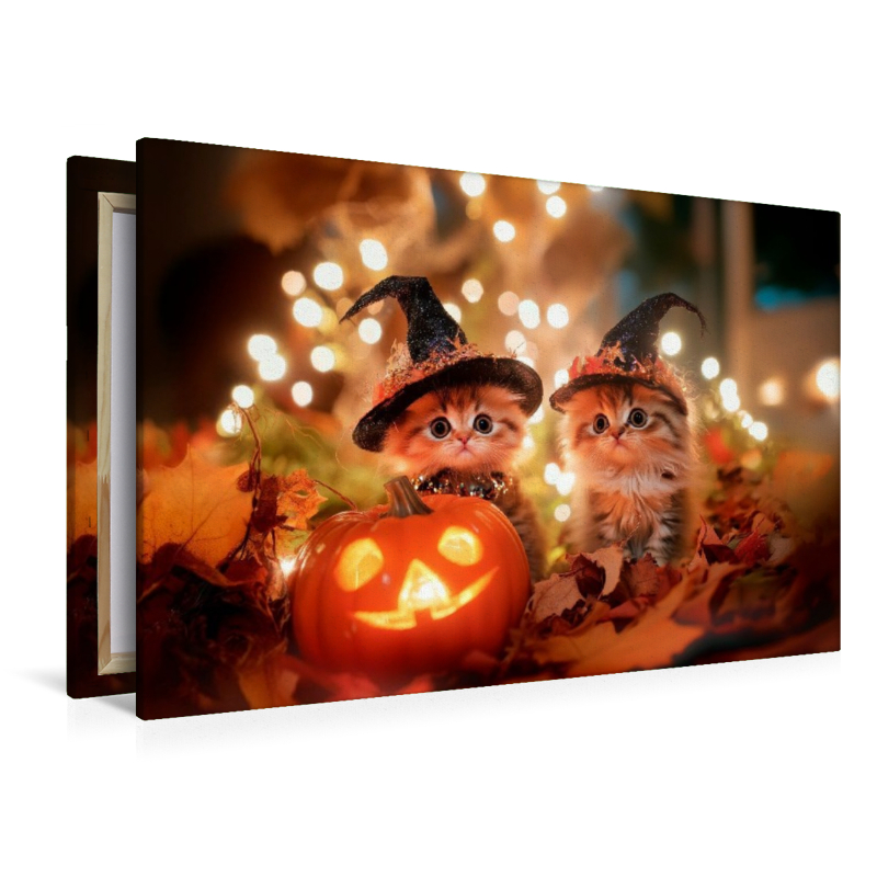 Katzenkinder im Halloweenfieber