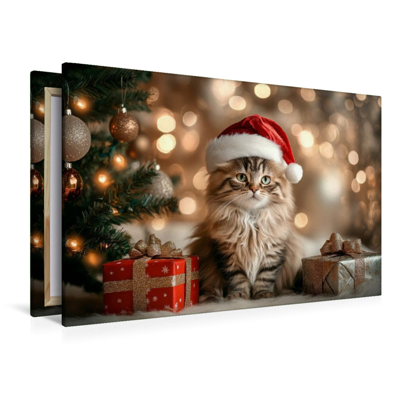 Weihnachtszauber auf Samtpfoten