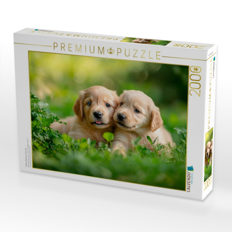 Golden-Retriever-Freunde