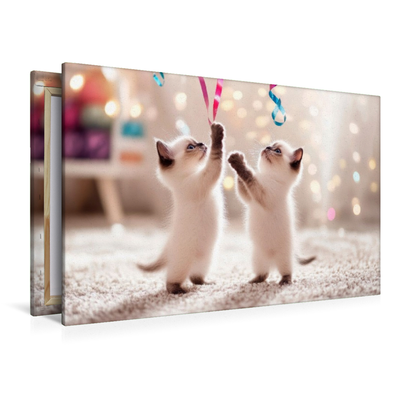 Verspielte Katzenbabys