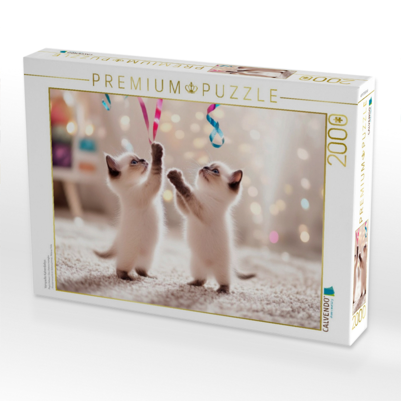 Verspielte Katzenbabys