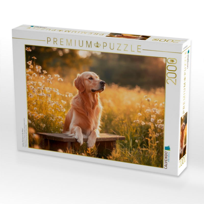 Golden Retriever in der Natur