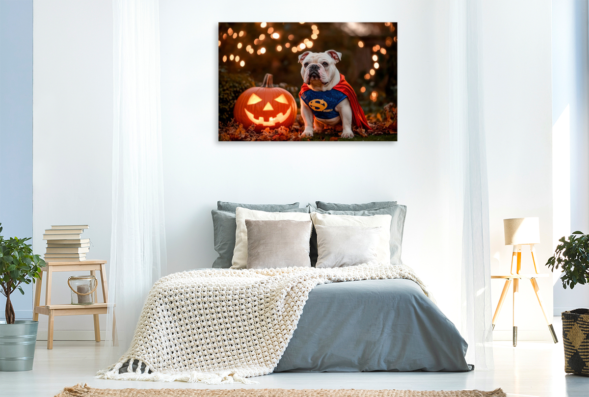 Englische Bulldogge als Halloween Superheld