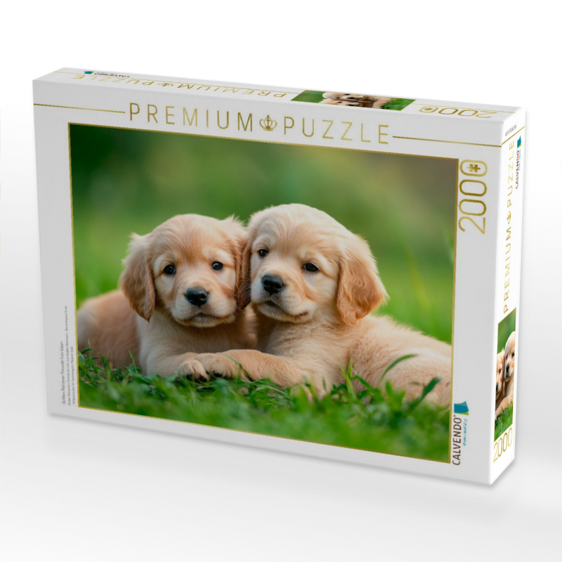 Golden Retriever Freunde fürs leben
