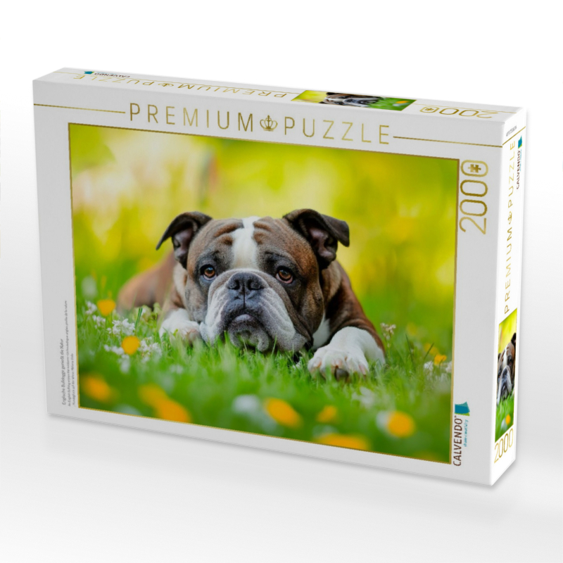 Englische Bulldogge genießt die Natur