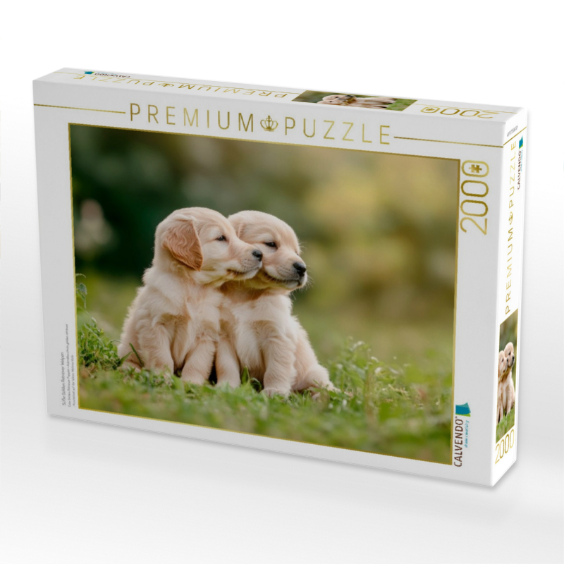 Süße Golden Retriever Welpen
