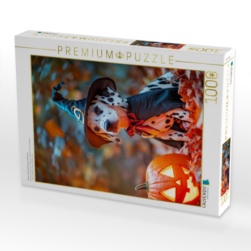 Kleiner Zauberlehrling an Halloween