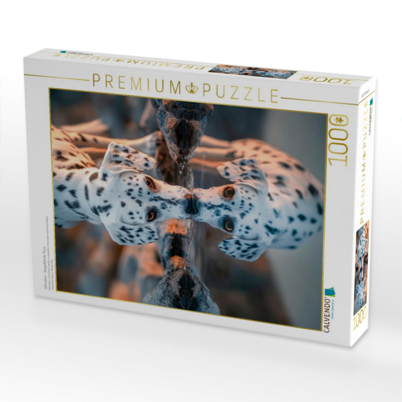 Dalmatiner - Spiegelbild der Treue