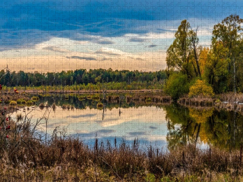 Das Schwenninger Moos