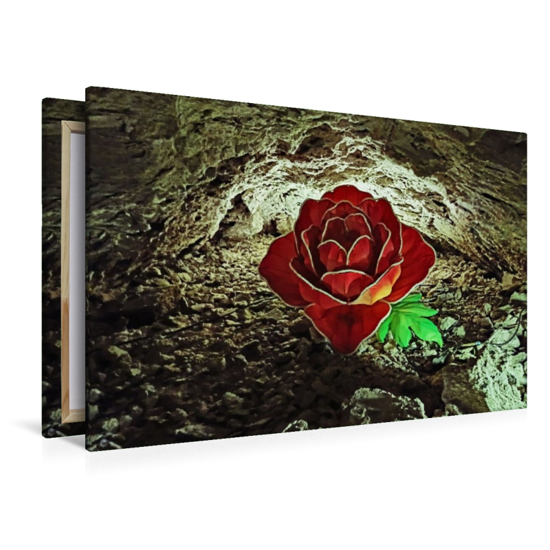 Barbarossahöhle - Lichtspiel einer Rose