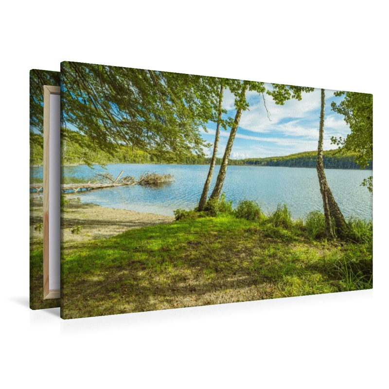 Wolgastsee im Frühling