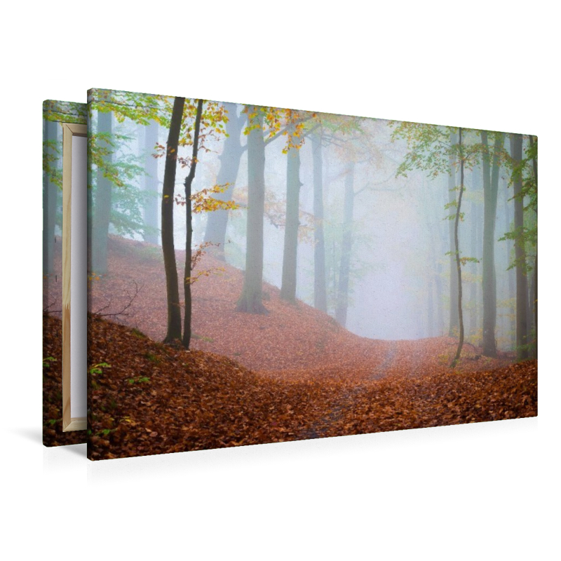Wald im Nebel