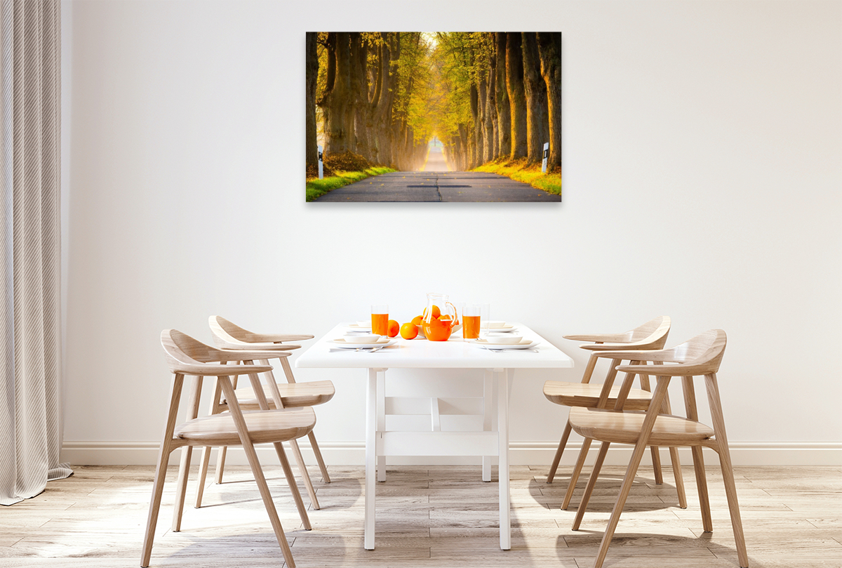 Allee im Morgenlicht