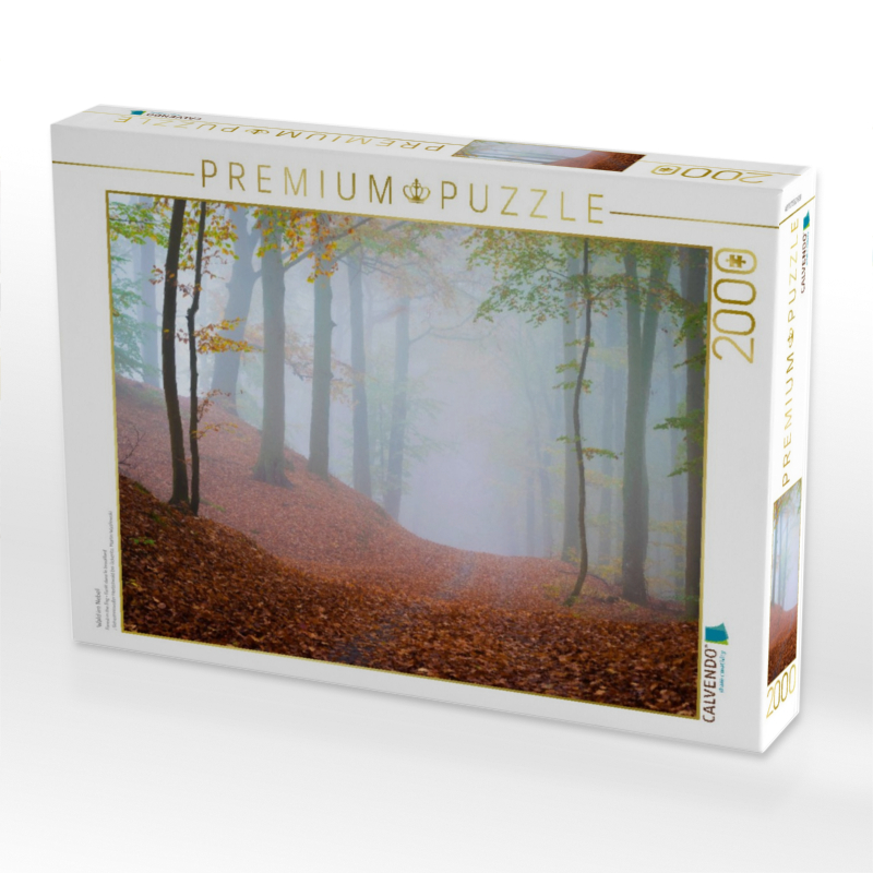 Wald im Nebel
