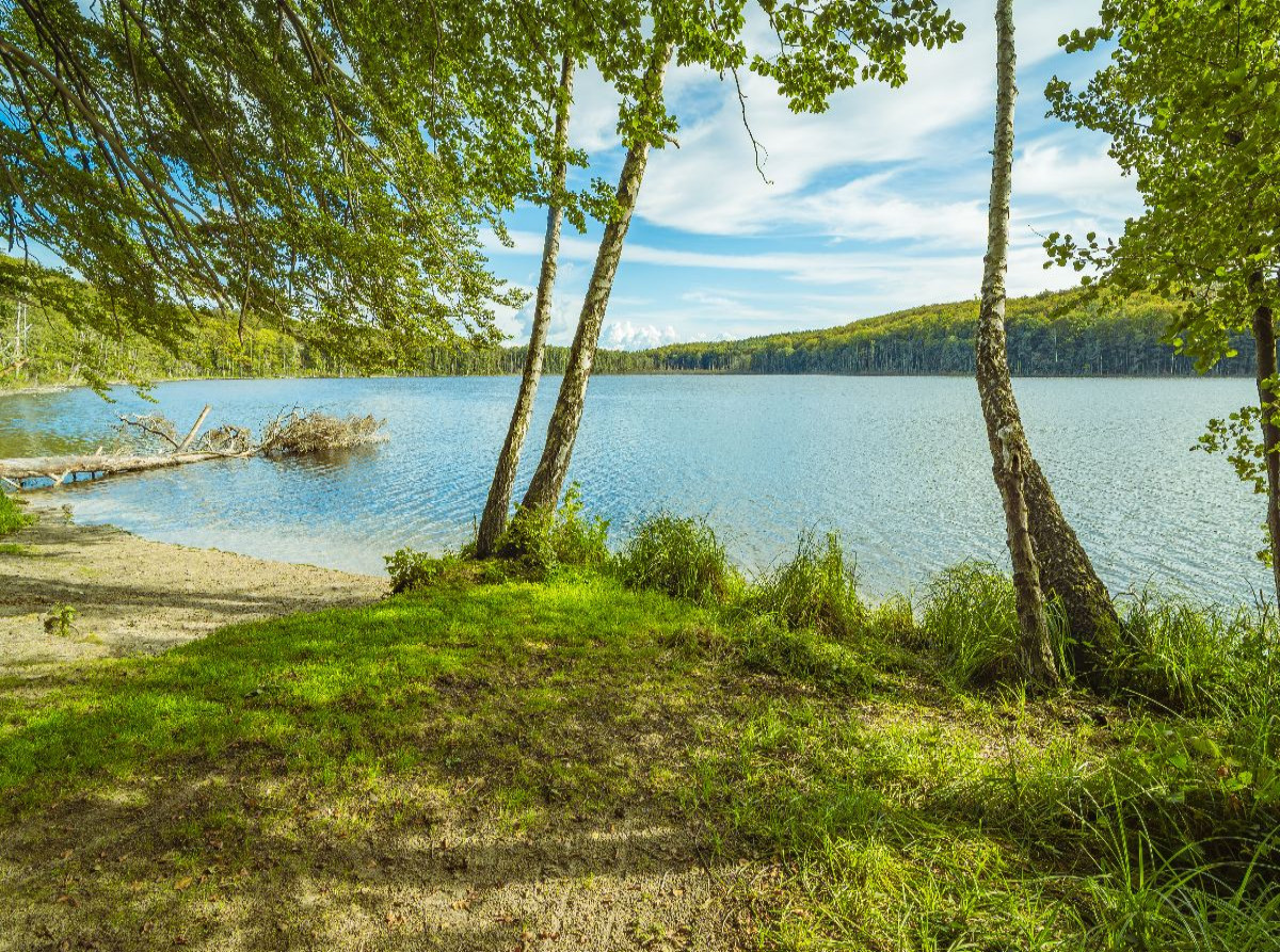 Wolgastsee im Frühling