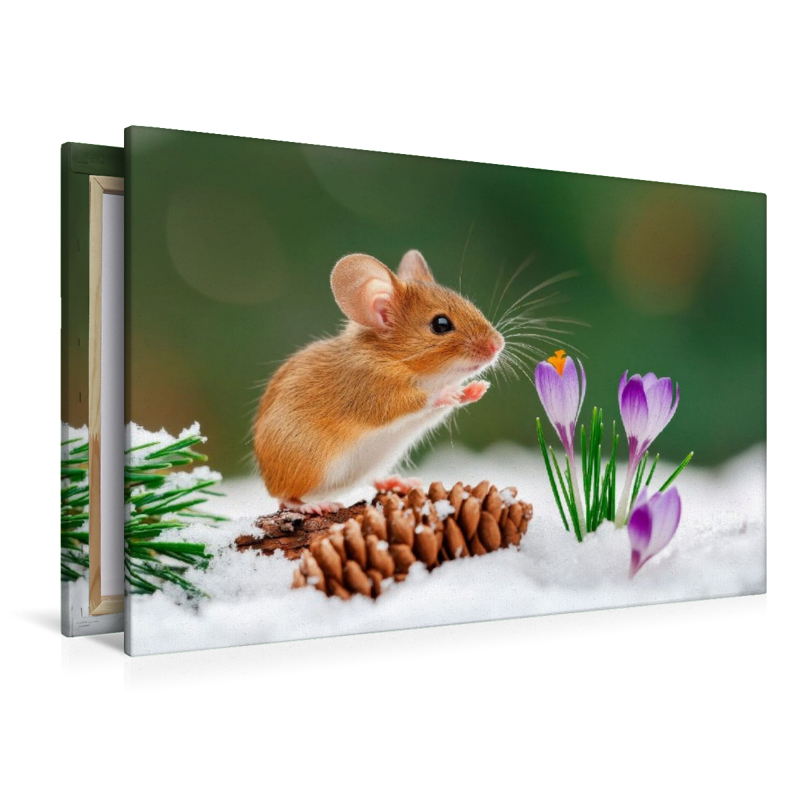 Feldmaus und Krokusse - Zauber des Neubeginns
