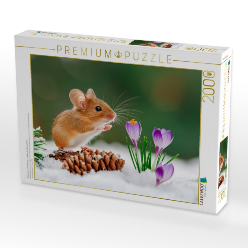 Feldmaus und Krokusse - Zauber des Neubeginns