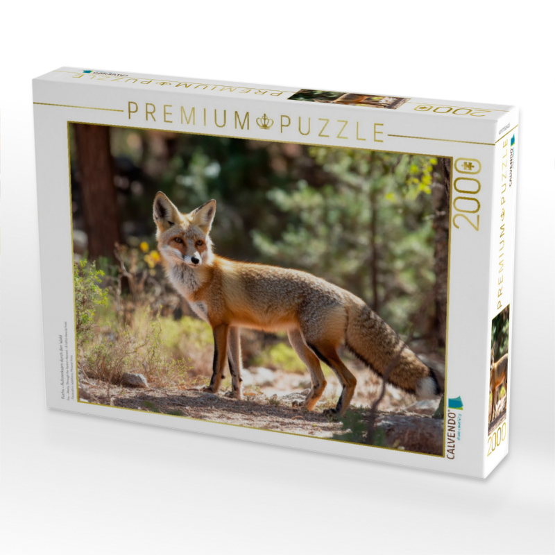 Fuchs - Aufmerksam durch den Wald